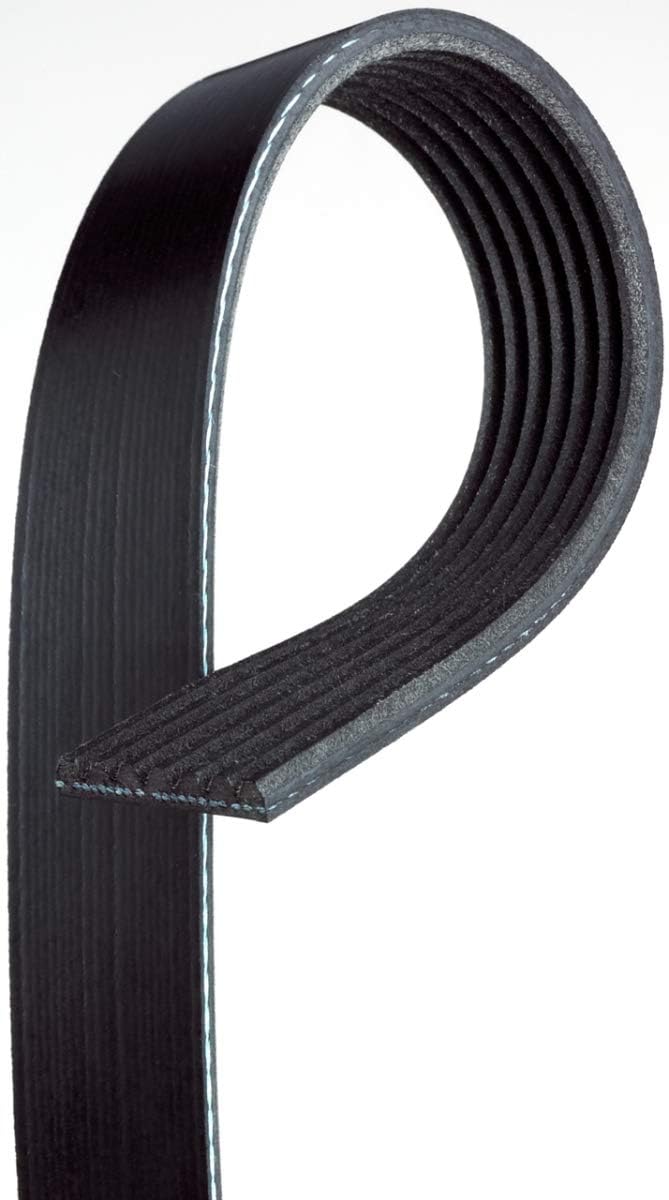 BRAND, CATEGORY, DAYCO, SERPENTINE, Dayco 5100503 Serpentine Belt , Black